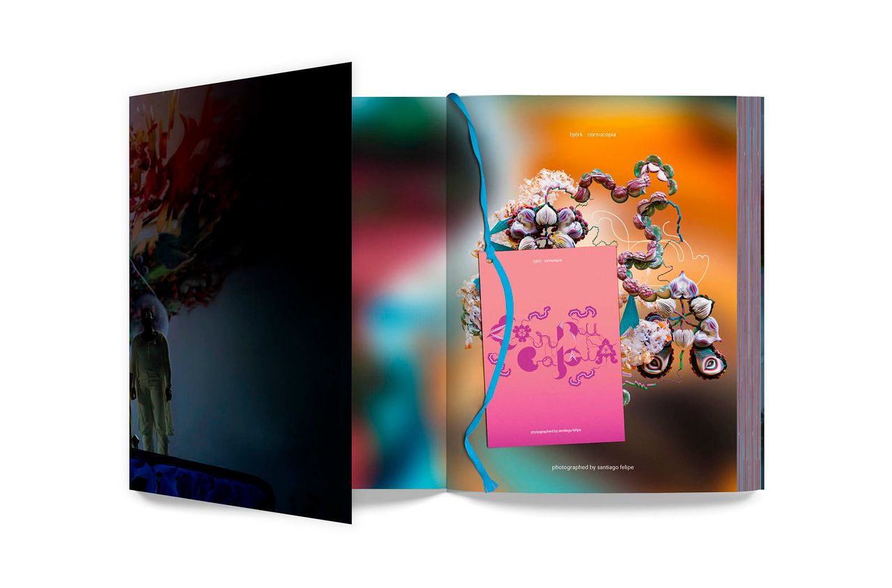 bjork_cornucopia_book_10.jpg