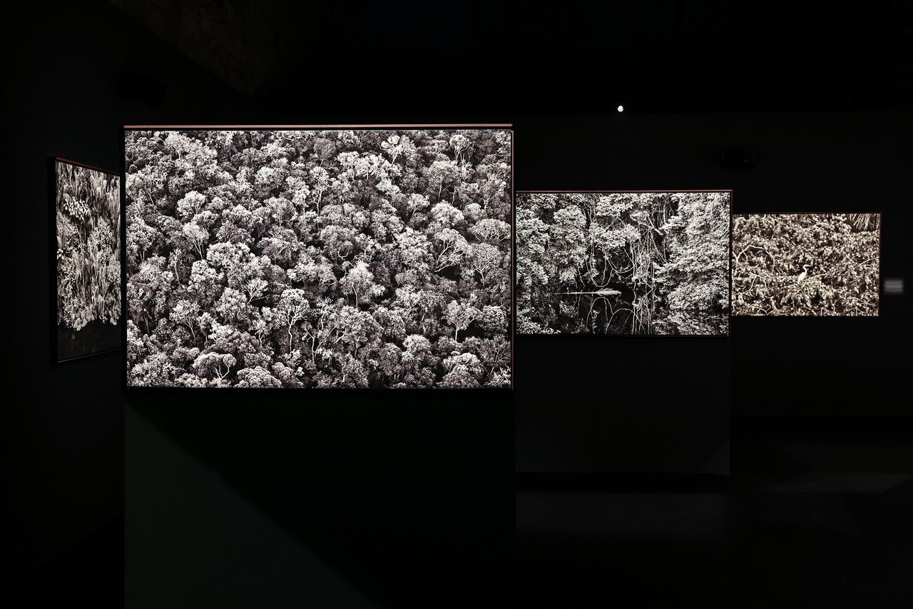Amazonia_Sebastiao-Salgado_2.jpg