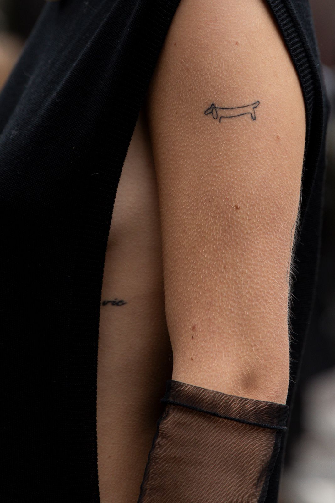 Milan_FashionWeek_FW_2024-AlexanderFischer_10.jpg