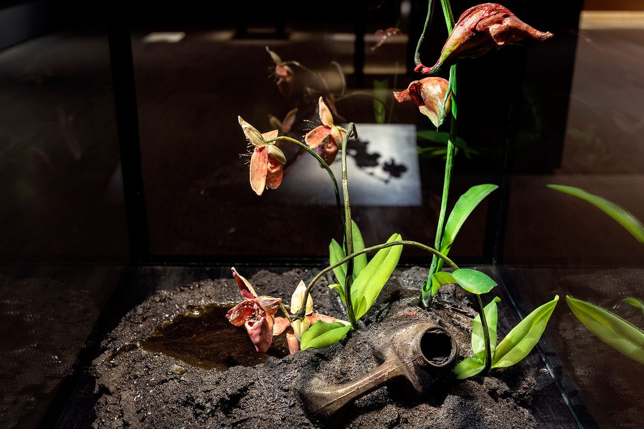 Mat Collishaw 6.jpg
