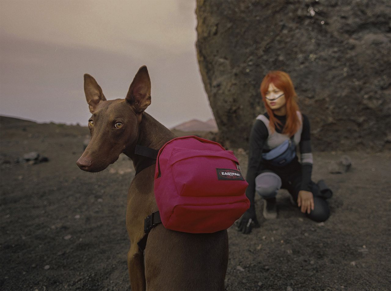 Eastpak Built to Resist S S233.jpg