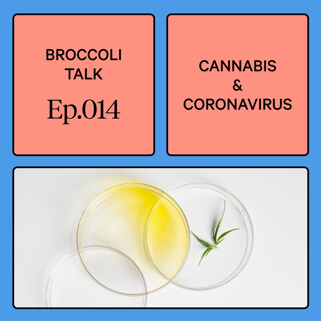 Broccoli Talk.png