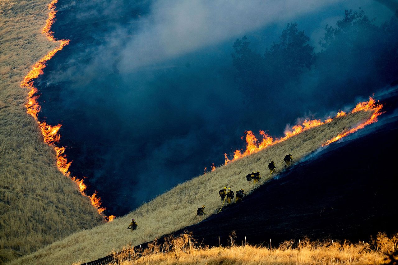 Segundo Premio 038 Noah Berger for Associated Press.jpg