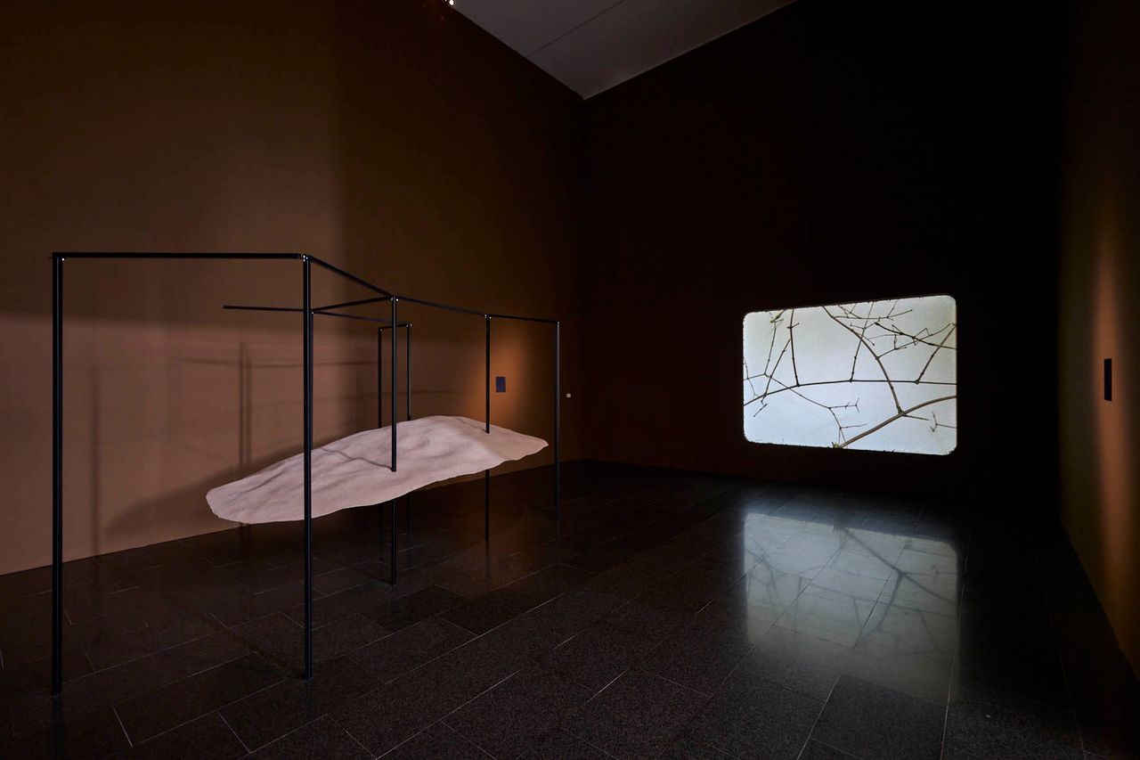 Daniel_Steegmann_expo_5.jpg