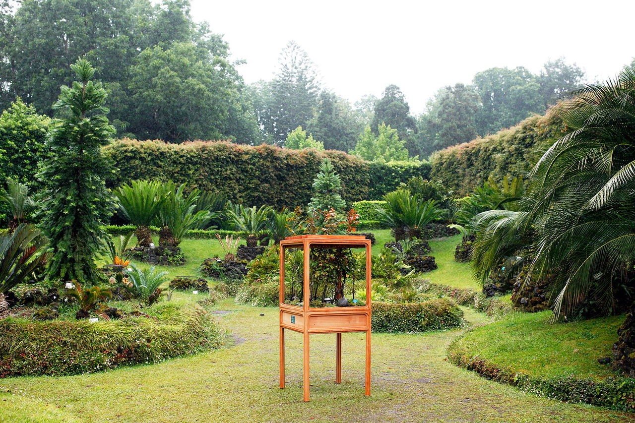 Walk Talk Azores Metalmagazine 18.jpg