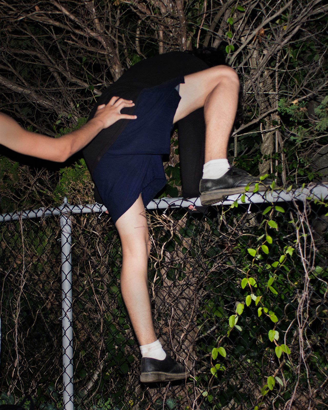 Aranibar Kevin Over the Fence 15.jpg
