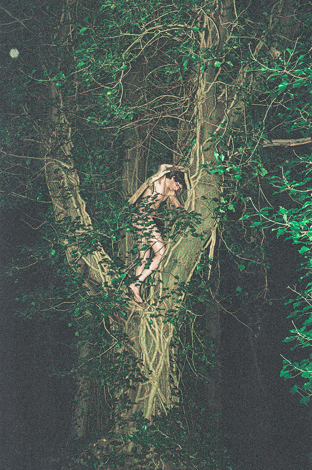 Charlie-Tallott_7.jpg