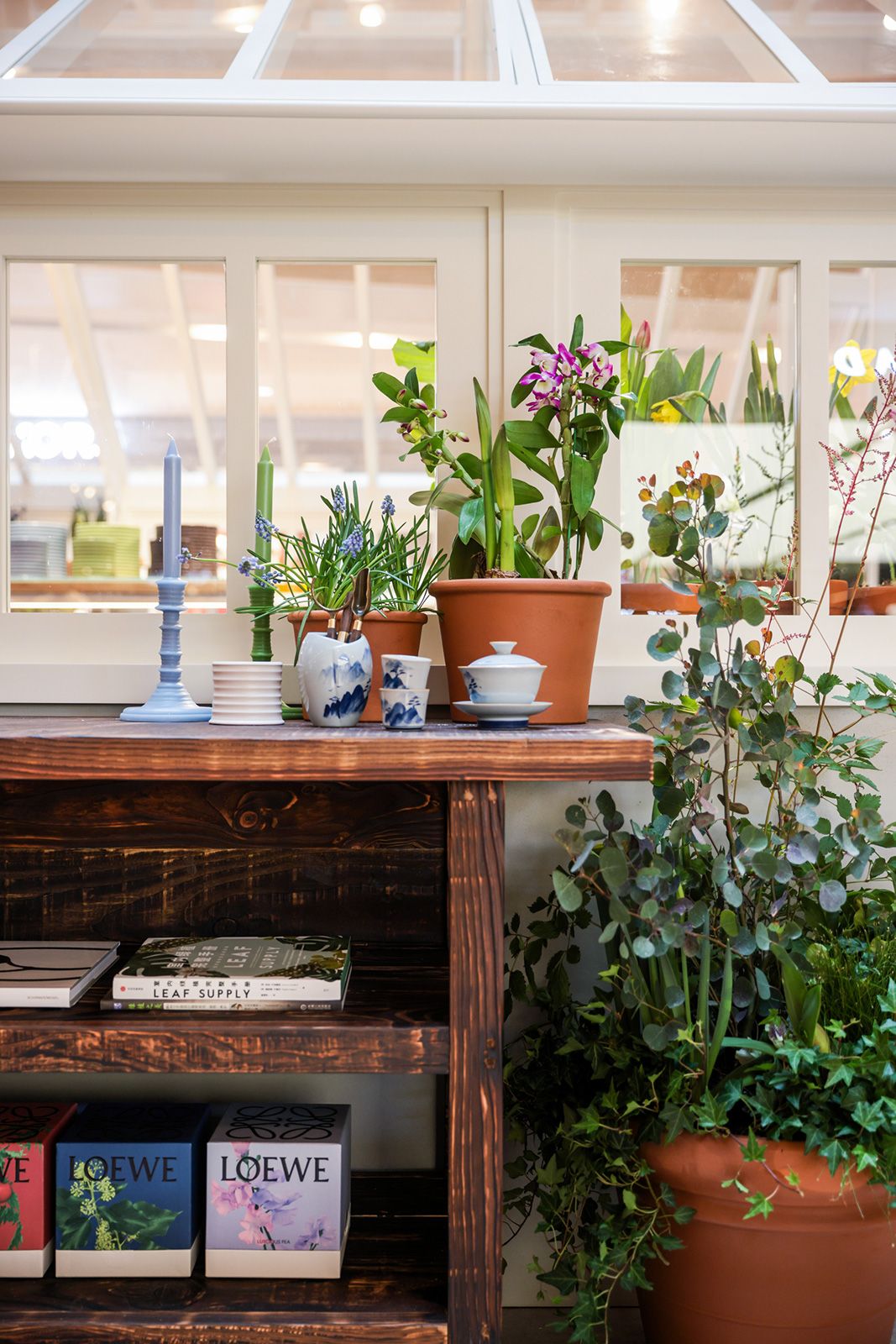 Loewe Greenhouse 4.jpg