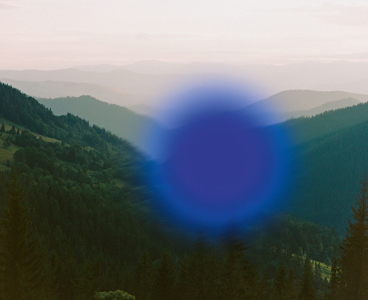 Synchrodogs Slightly Altered 43 Blue Dot.jpg