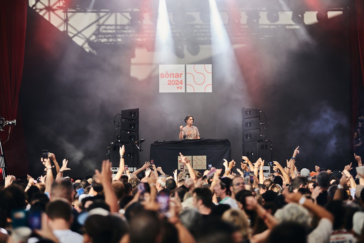 SonarVillage_LaurentGarnier_Leafhopper_20240614_-18.jpg