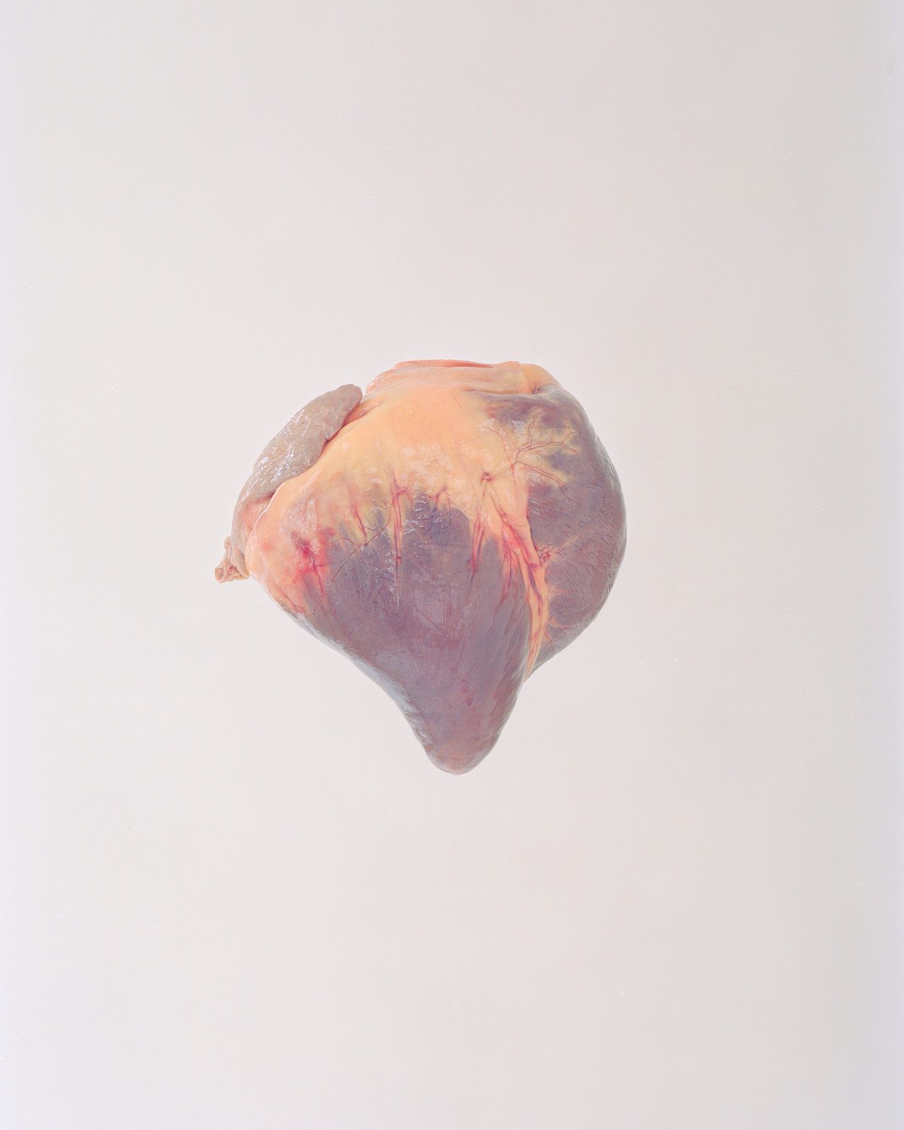 Ward Roberts Metalmagazine 23.jpg
