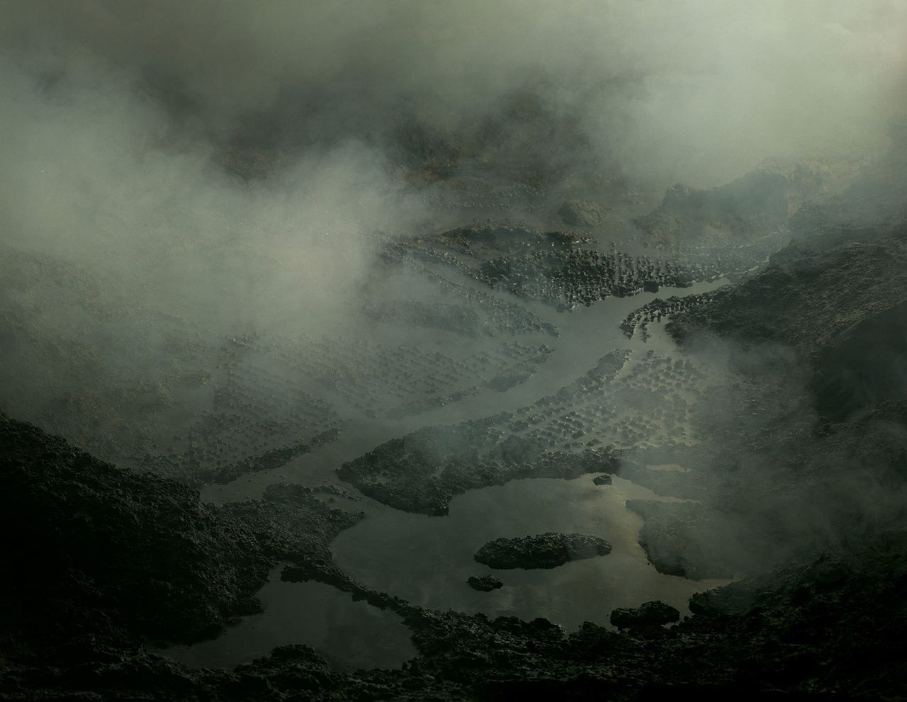 The  Quiet of Dissolution Flood Sm.jpg