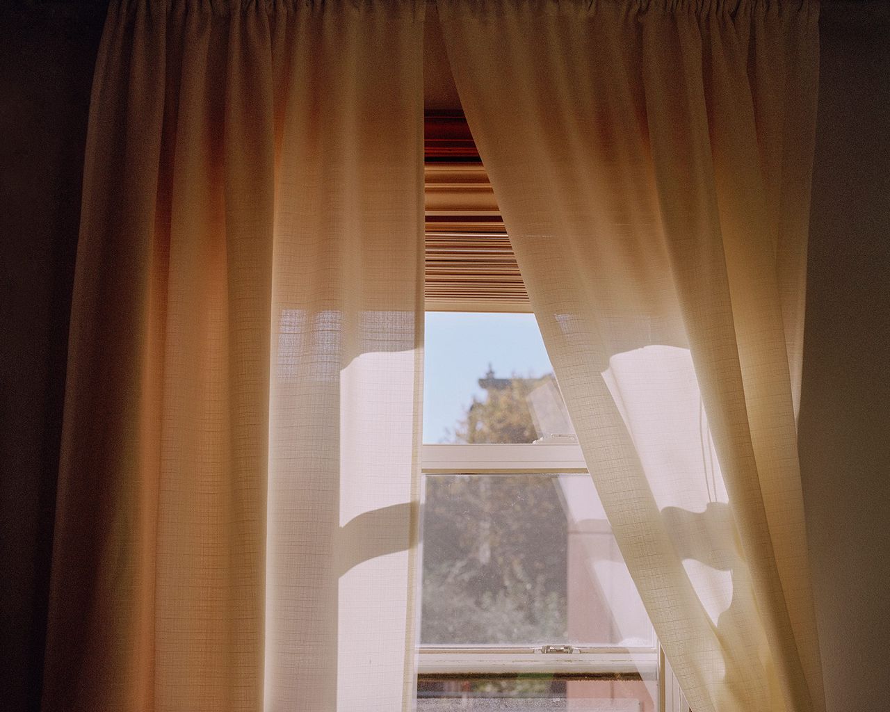 Graceannleadbeater 01.jpg