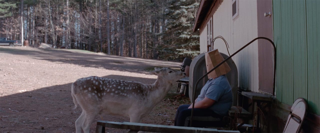 Will Deer.jpg