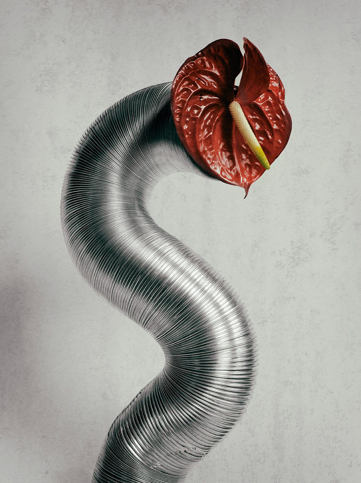 Transespecie 1 Manel Munoz.jpg