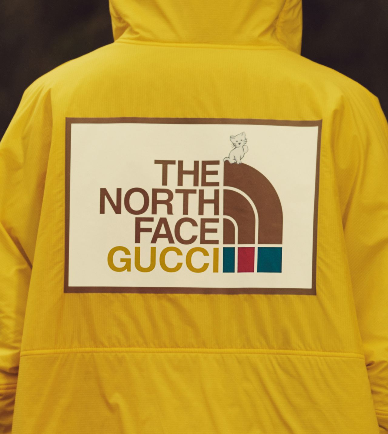 Gucci X the North Face Metalmagazine 28.jpg