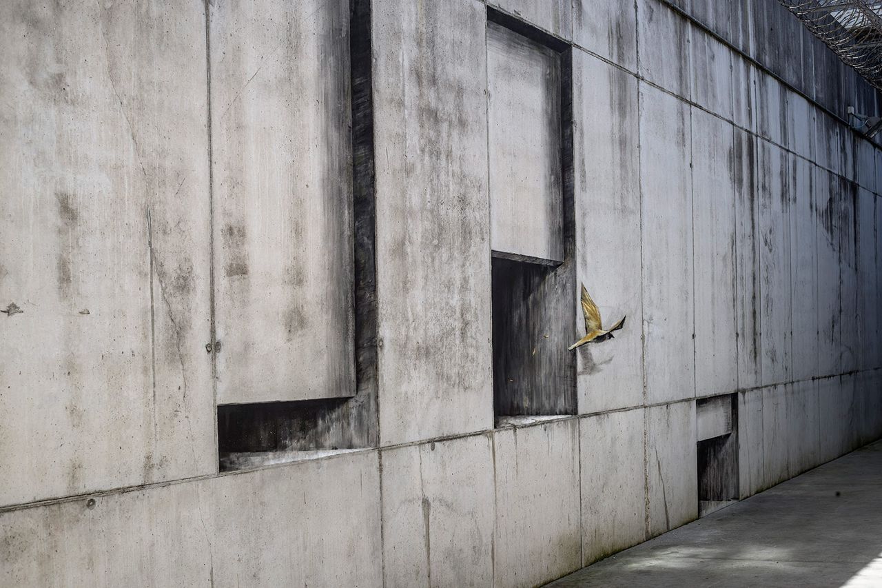 Hollow Walls15.jpg