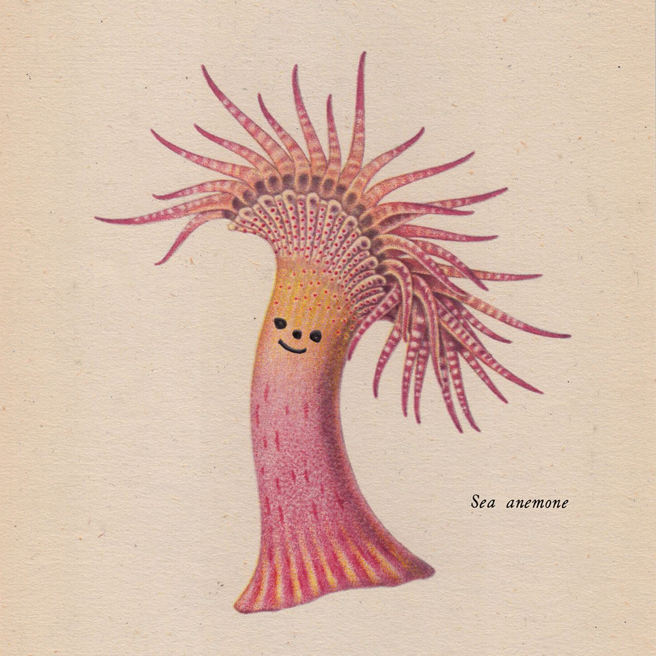Hgoodspeed Seafriend.jpg