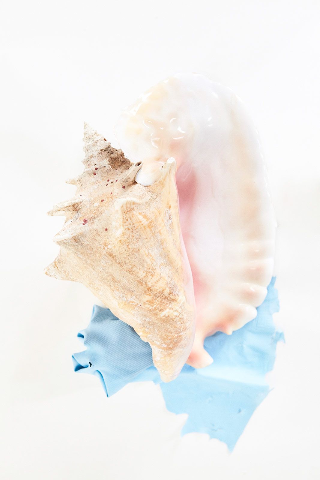  Romain Sellier Trueblue Metalmagazine 23.jpg