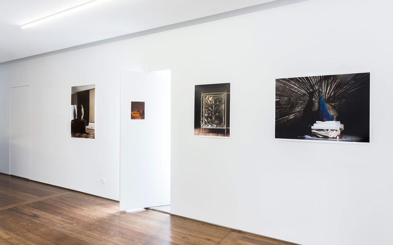 Walk Talk Azores Metalmagazine 16.jpg