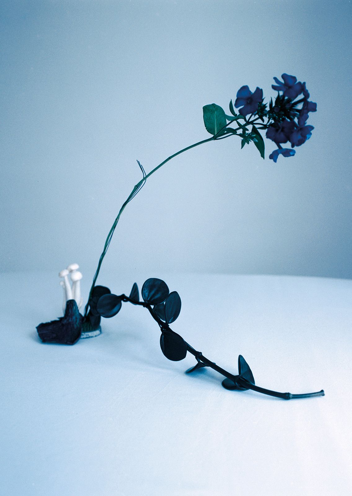 Teddy Iborra Metal Loewe Metalmagazine 7.jpg