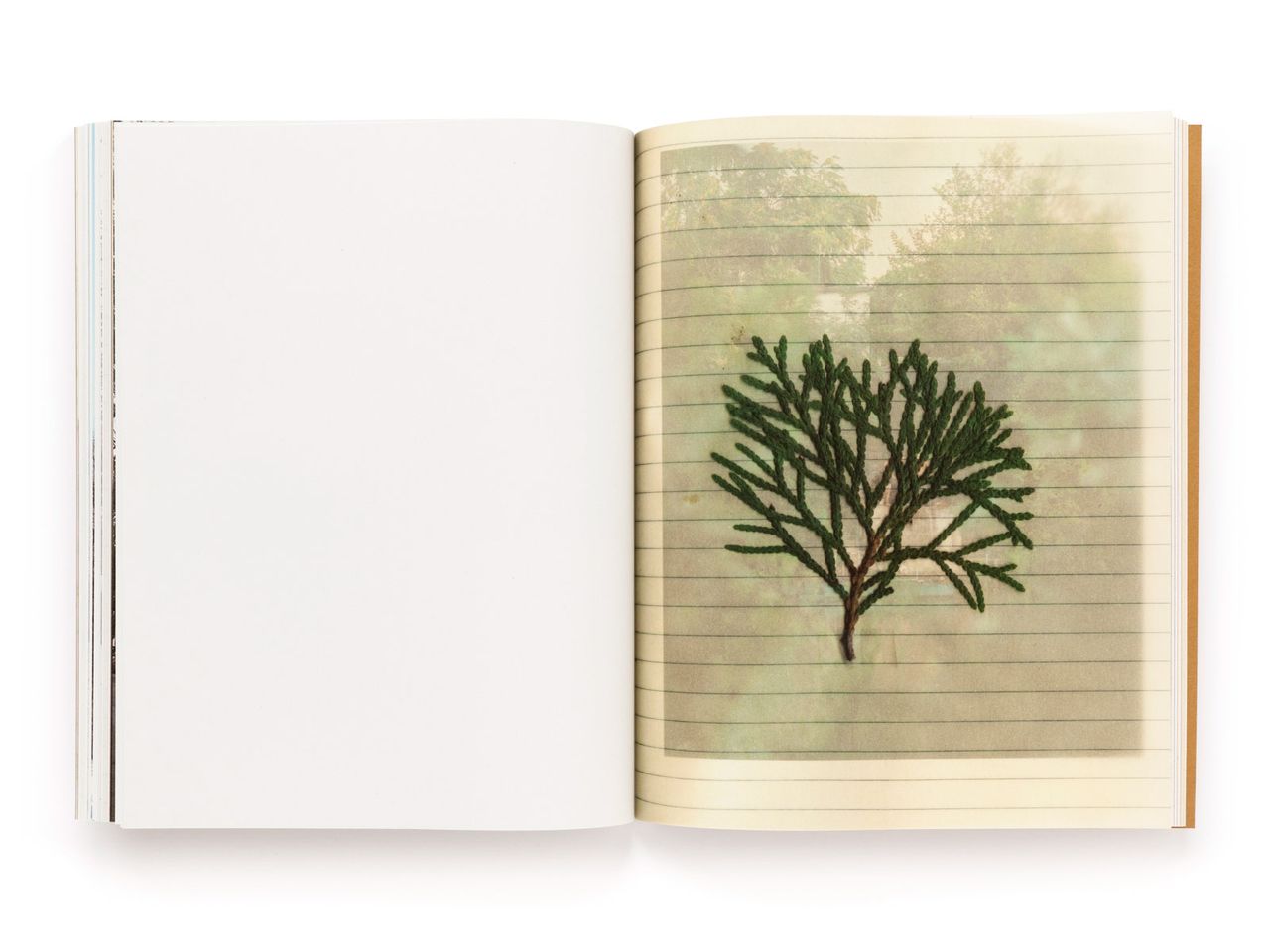 The Tree of Life Is Eternally Green Pascual Y Vincent Metal Magazine 039.jpg