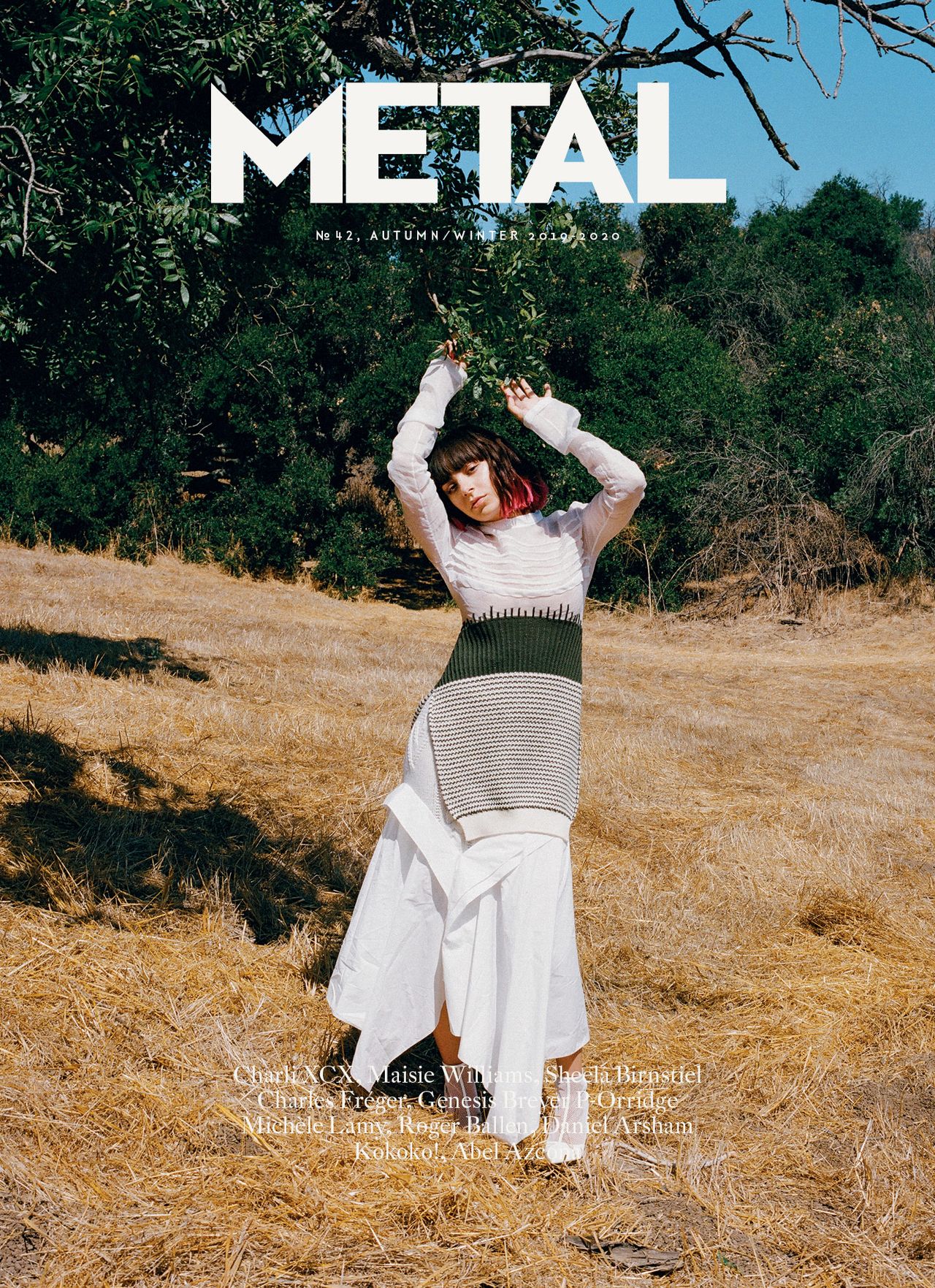 Metal 42 Cover 2.jpg