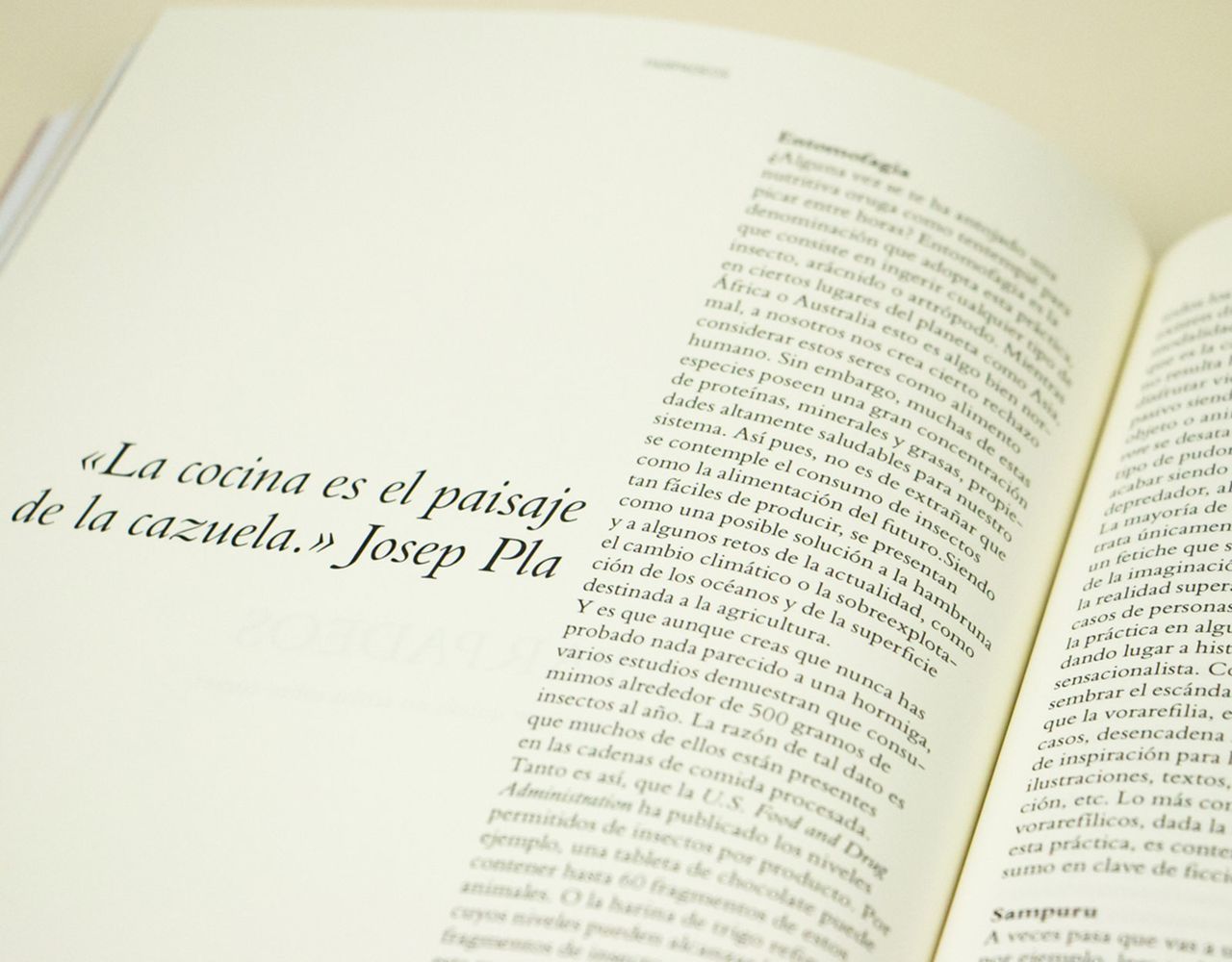 Trevistamagazine7.jpg