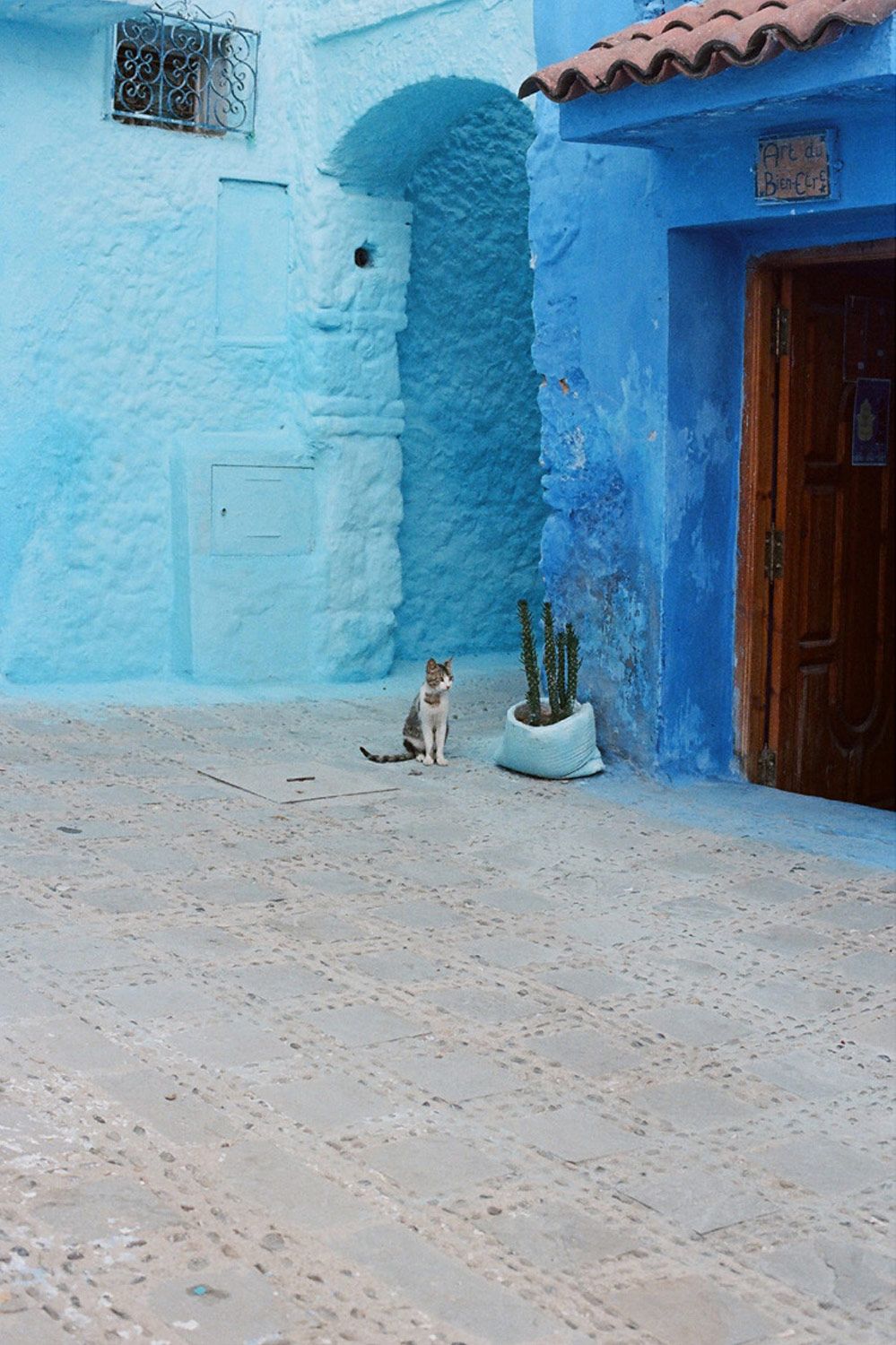 Marina De Luis Chefchaouen Metalmagazine 5.jpg
