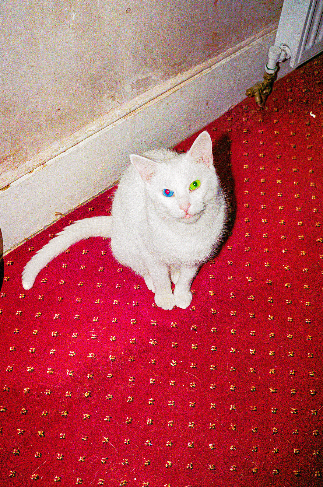 Charlie-Tallott_5.jpg