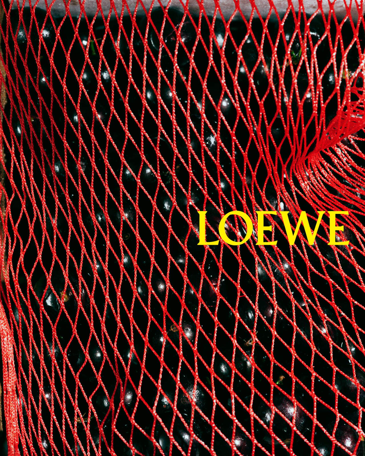 LOEWE SS26 CAMPAIGN STILL LIFE 1.jpg