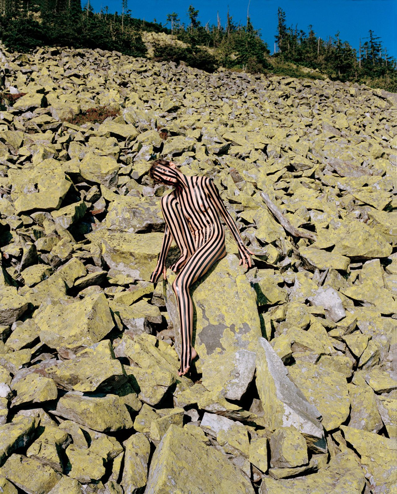 Synchrodogs