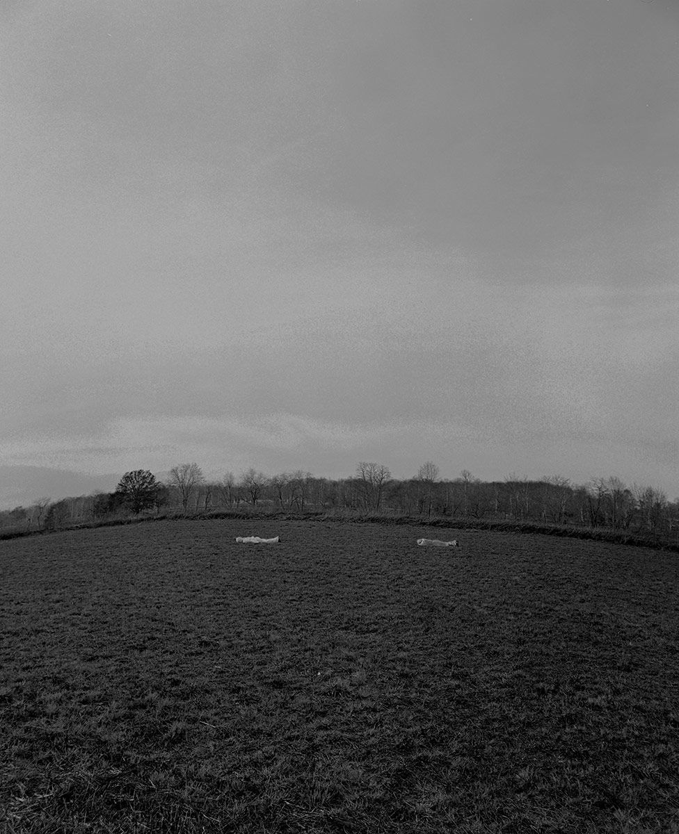 Art Field Atory 2.jpg