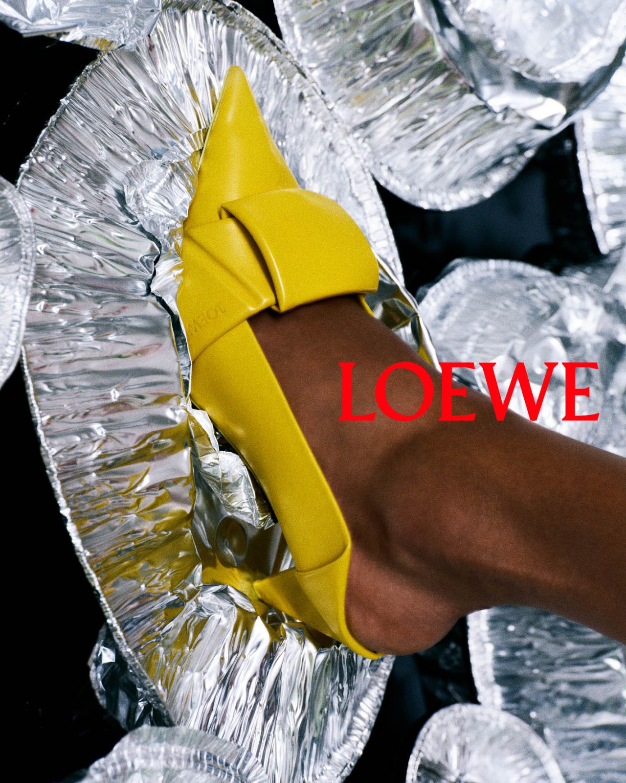 LOEWE SS26 CAMPAIGN STILL LIFE 4.jpg