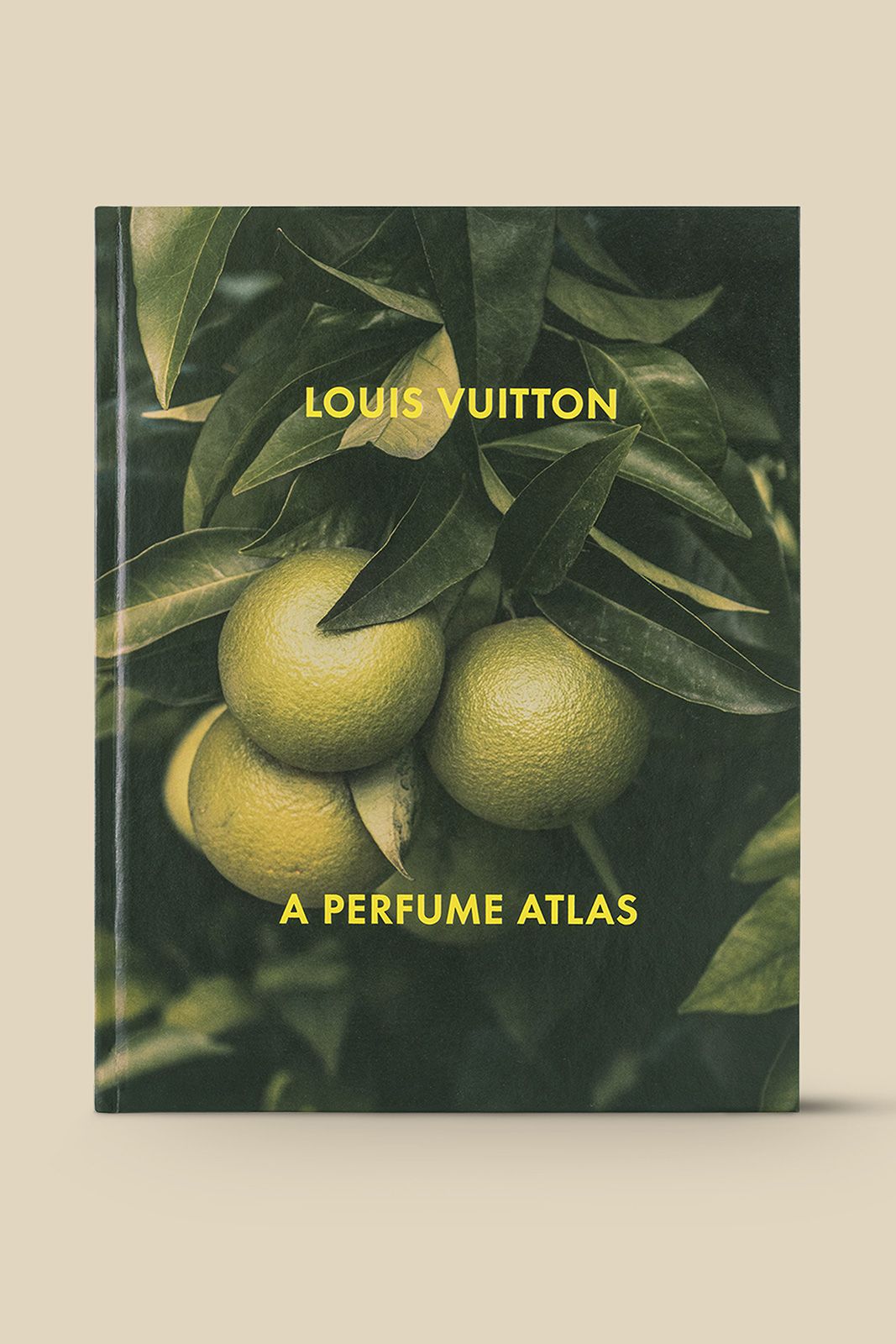 A-Perfume-Atlas_Louis-Vuitton-(3).jpg