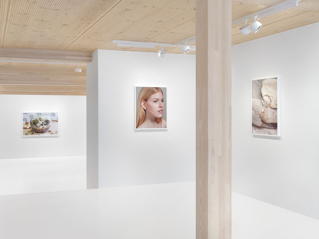 Roe-Ethridge_3.jpg
