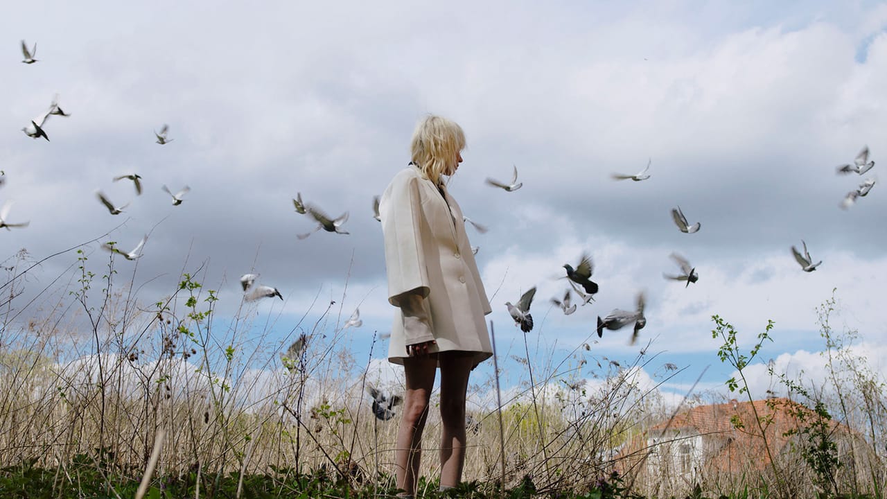 Jonas Lindstroem 15.jpg