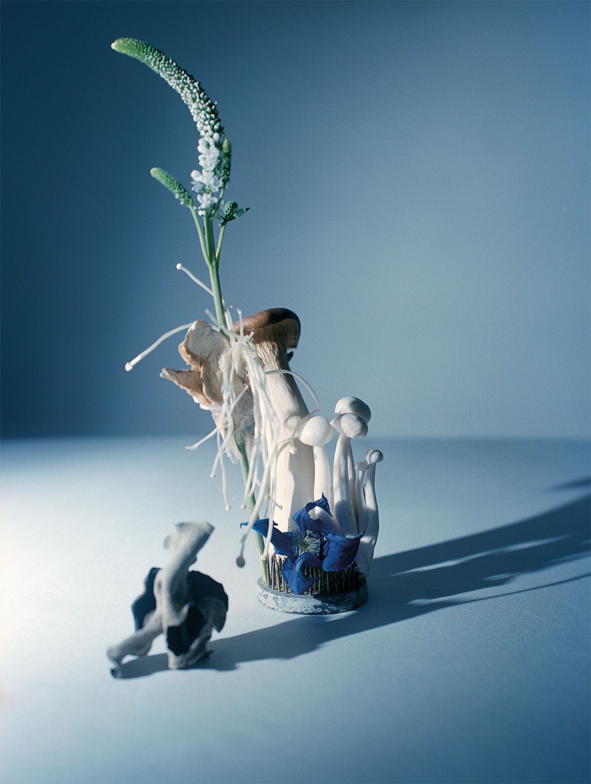 Teddy Iborra Metal Loewe Metalmagazine 6.jpg