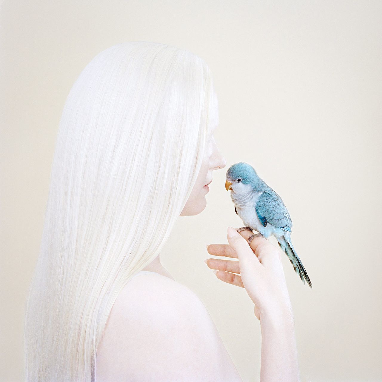 Petrina Hicks 5.jpg