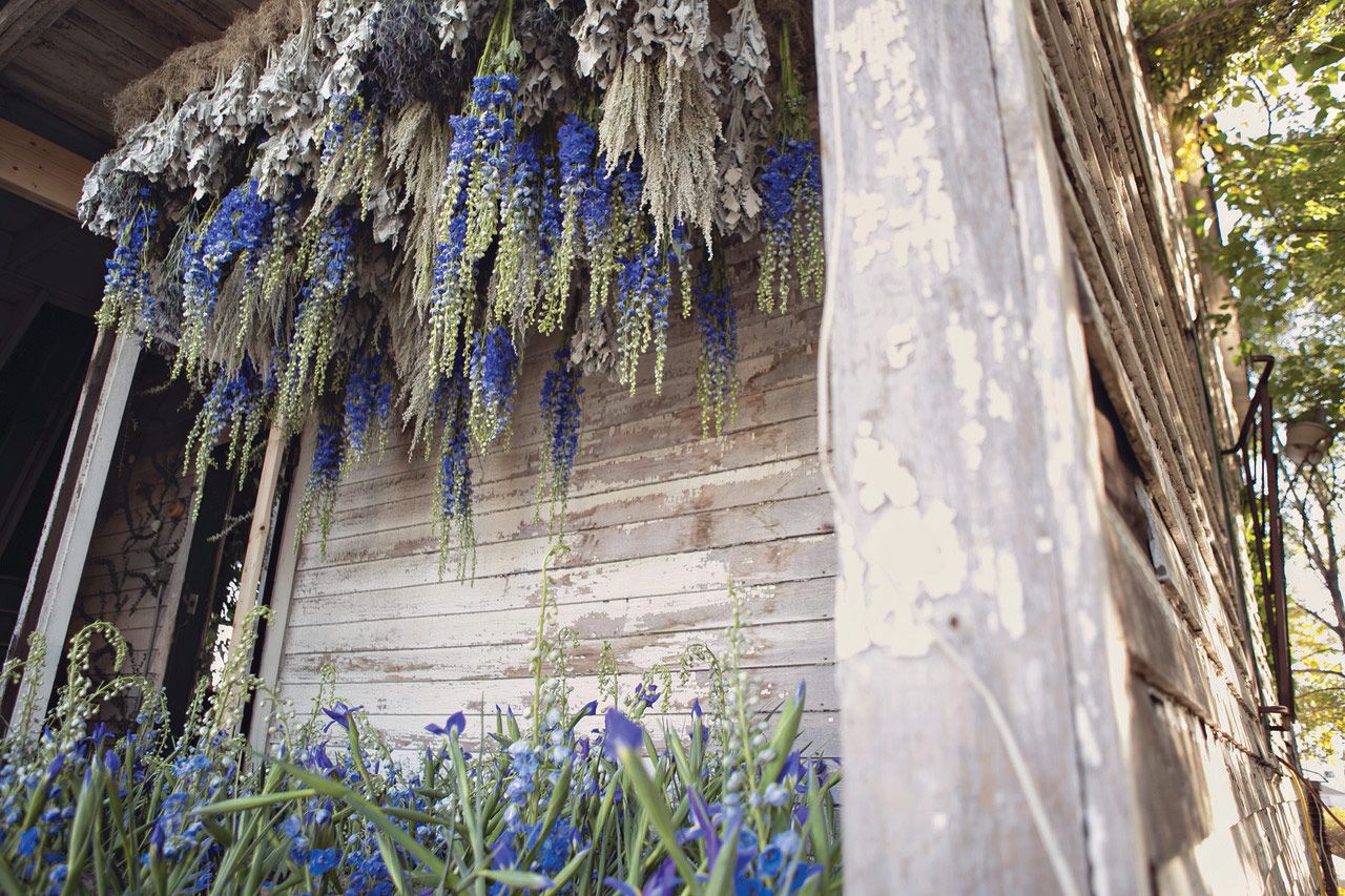 Lisa Waud 3   the Flower House.jpg