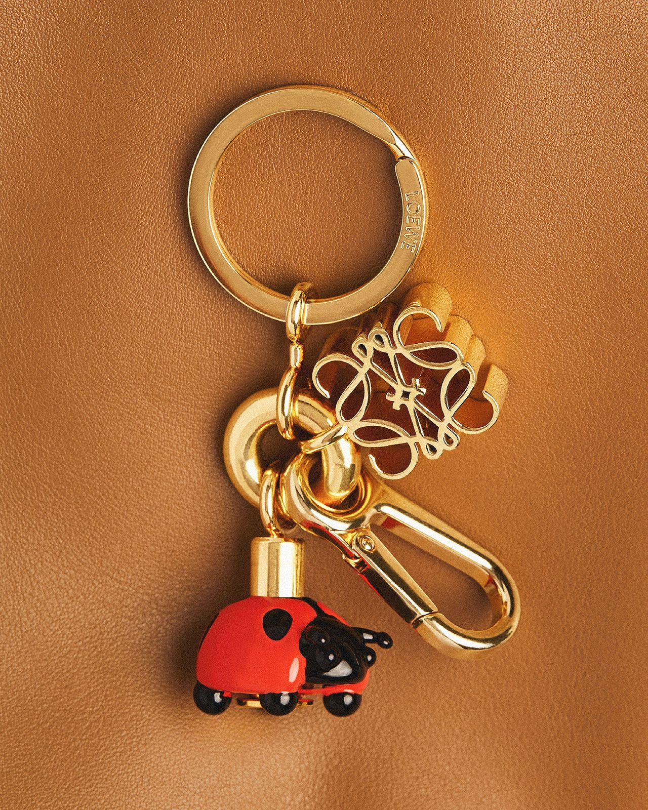 Loewe S S24 Preco Gifting Themes Rgb Cropped 4 X5 2.jpg