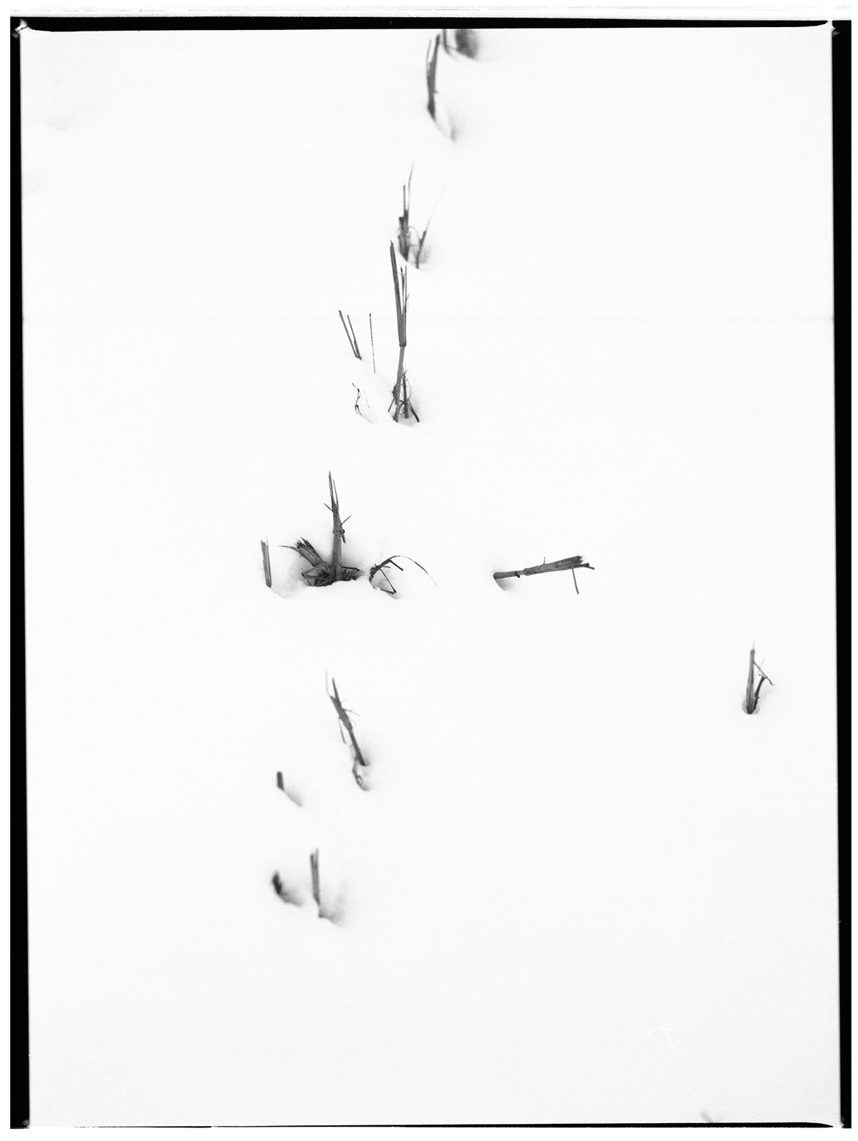Giuseppetriscari Metalmagazine 6.jpg