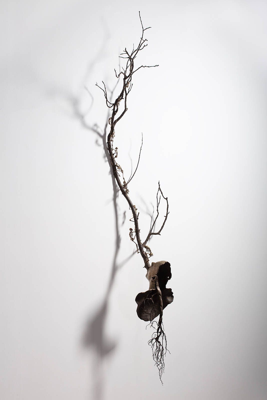 Tache Art Gallery_Javier Pérez.jpg