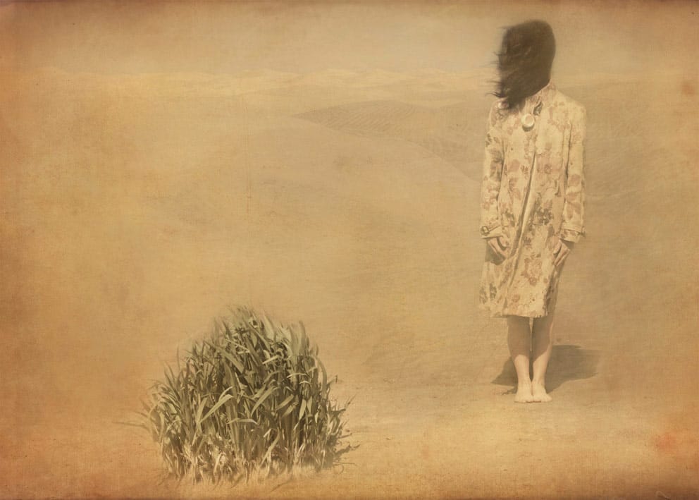 Alice De Kruijs.jpg