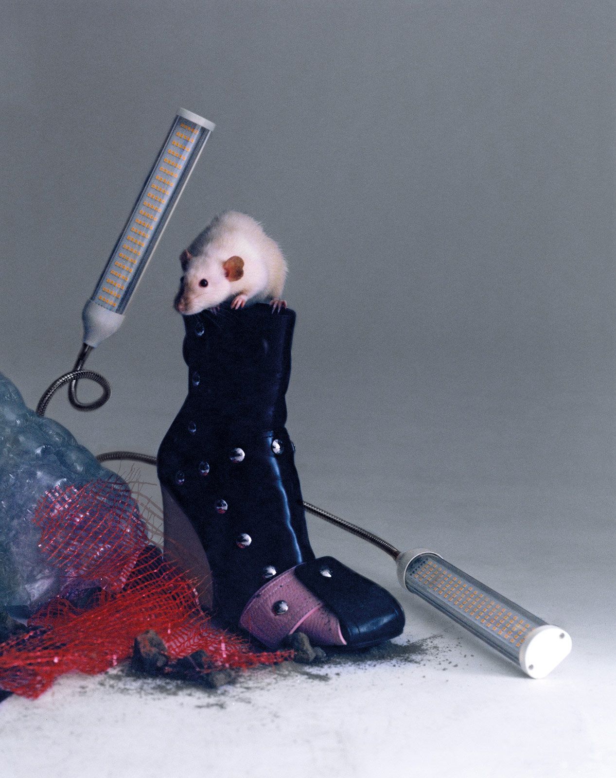 Javier Castan Lv Metalmagazine 5.jpg