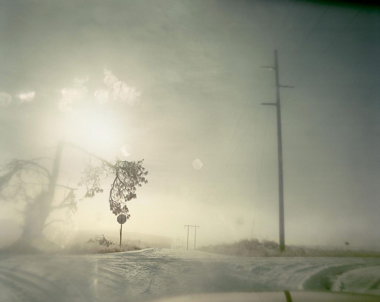 Todd Hido Metalmagazine 7.jpg