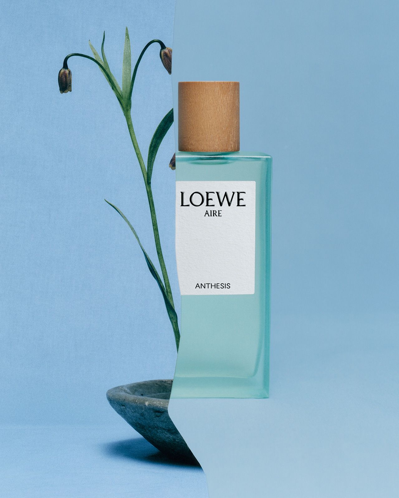 Loewe Perfumes 2.jpg