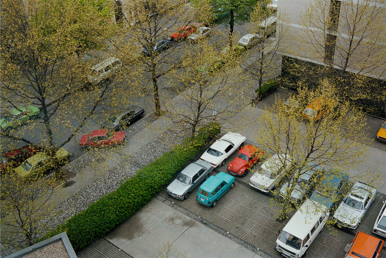 William Eggleston 8.jpg