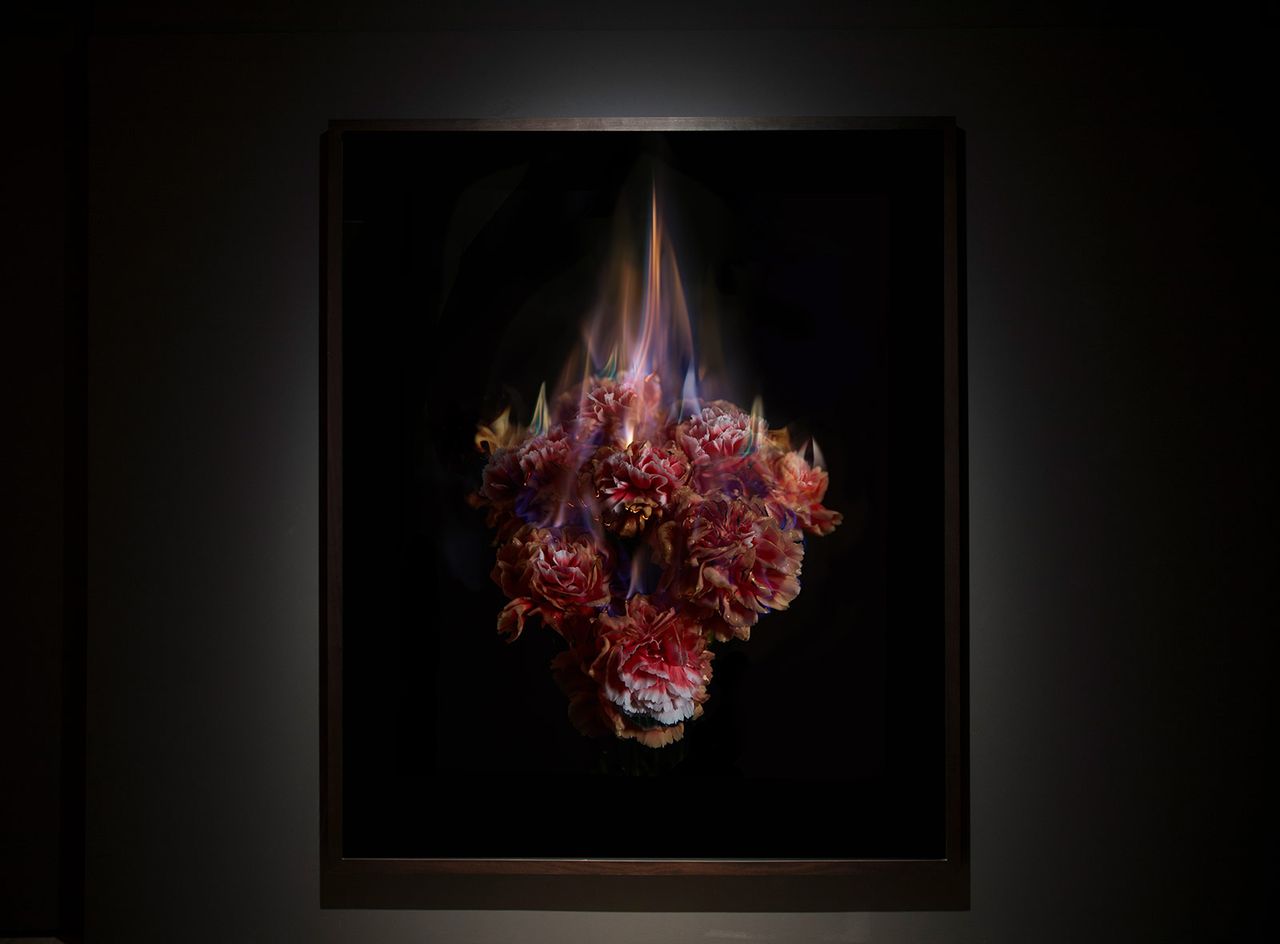 Mat Collishaw 4.jpg