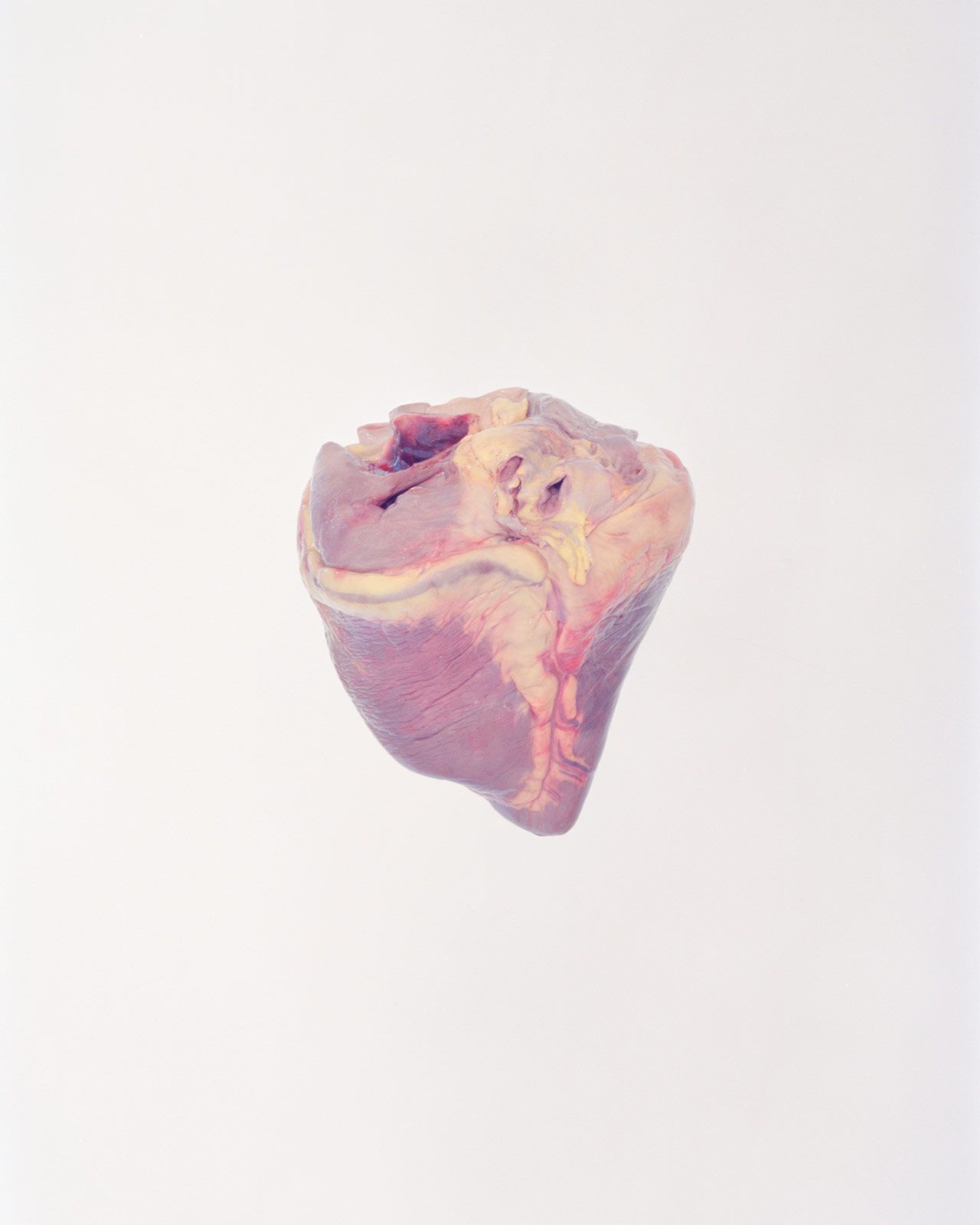 Ward Roberts Metalmagazine 15.jpg